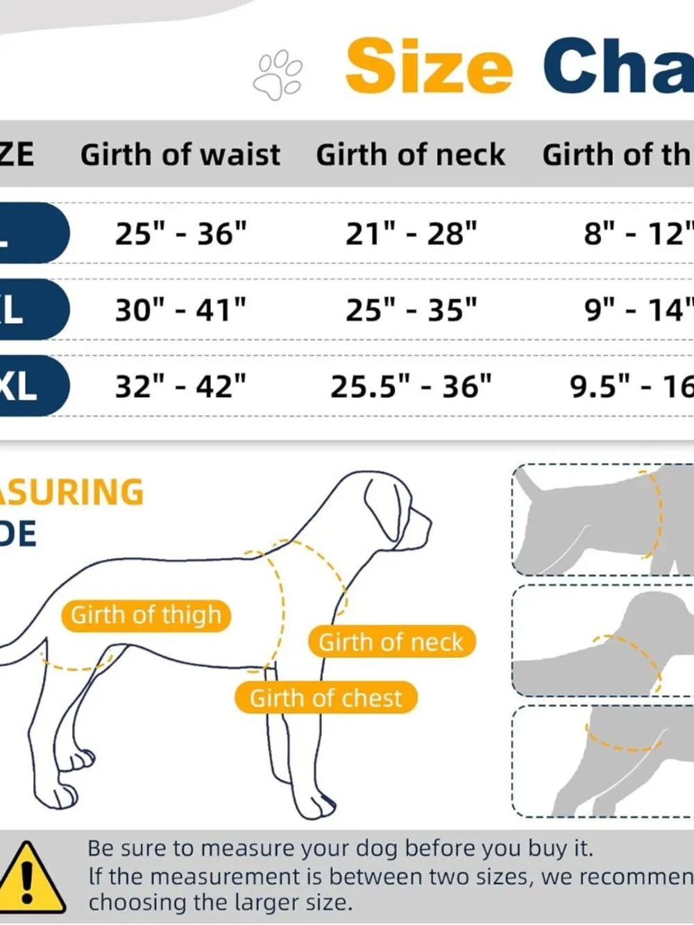CHAMIN Dog Hip Brace with Back Handheld Design